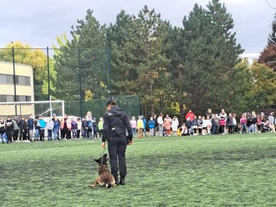 Policejní psi - čtyřnozí hrdinové
