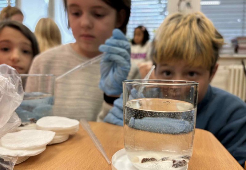 Halloweenský projekt