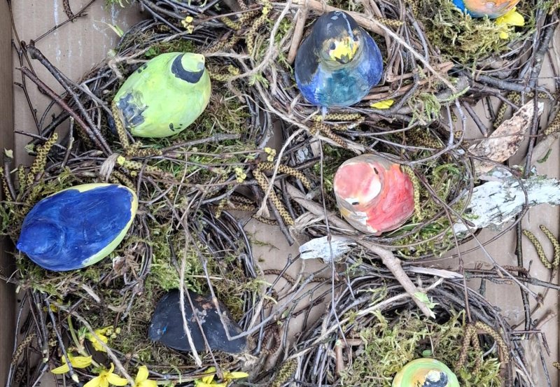 Projektové dny: 1., 2., 3. den