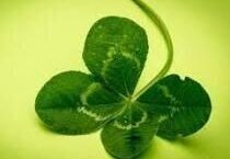 Přání k přijímacím zkouškám